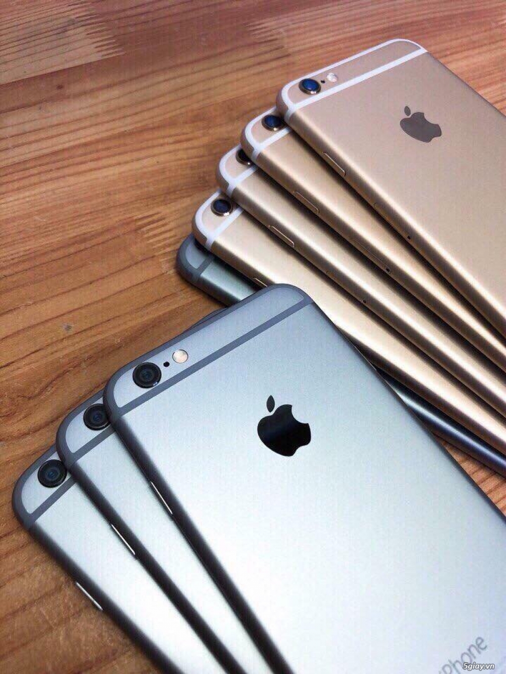 iPhone6 Quốc Tế tuyển chọn leng keng . - 6