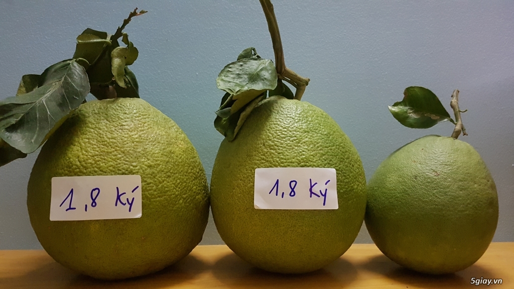 Hcm bưởi da xanh bến tre loại 1 trên 2kg - 3