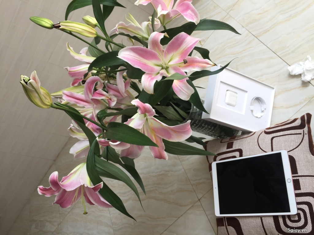 Lấy hên đầu năm Ipad Pro phiên bản đỉnh - 3