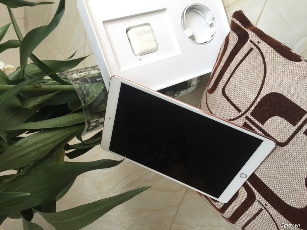 Lấy hên đầu năm Ipad Pro phiên bản đỉnh - 1