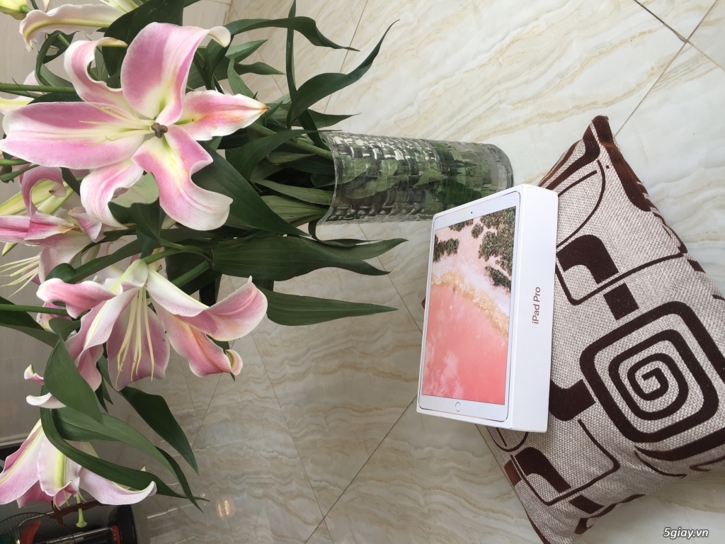 Lấy hên đầu năm Ipad Pro phiên bản đỉnh - 4