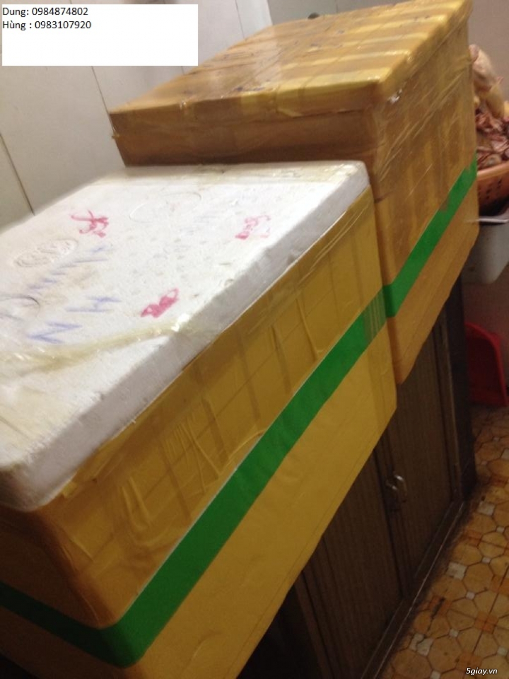 Bán buôn chim bồ câu giá rẻ nhất - 3