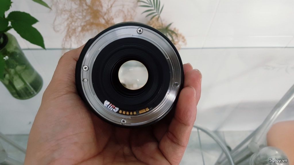[Bán hấp dẫn] - Cần bán lens Canon 17 - 85 giá hạt dẻ - 2