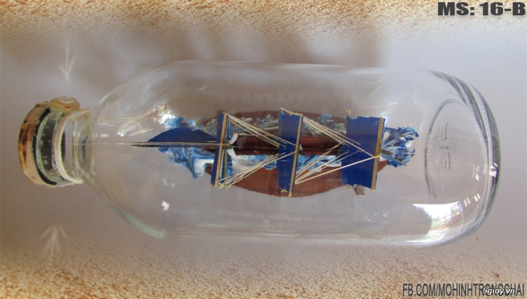 Mô hình thuyền trong chai