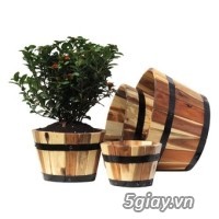 Bộ 4 chậu gỗ trồng hoa sân vườn