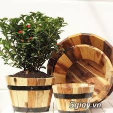 Bộ 4 chậu gỗ trồng hoa sân vườn - 2