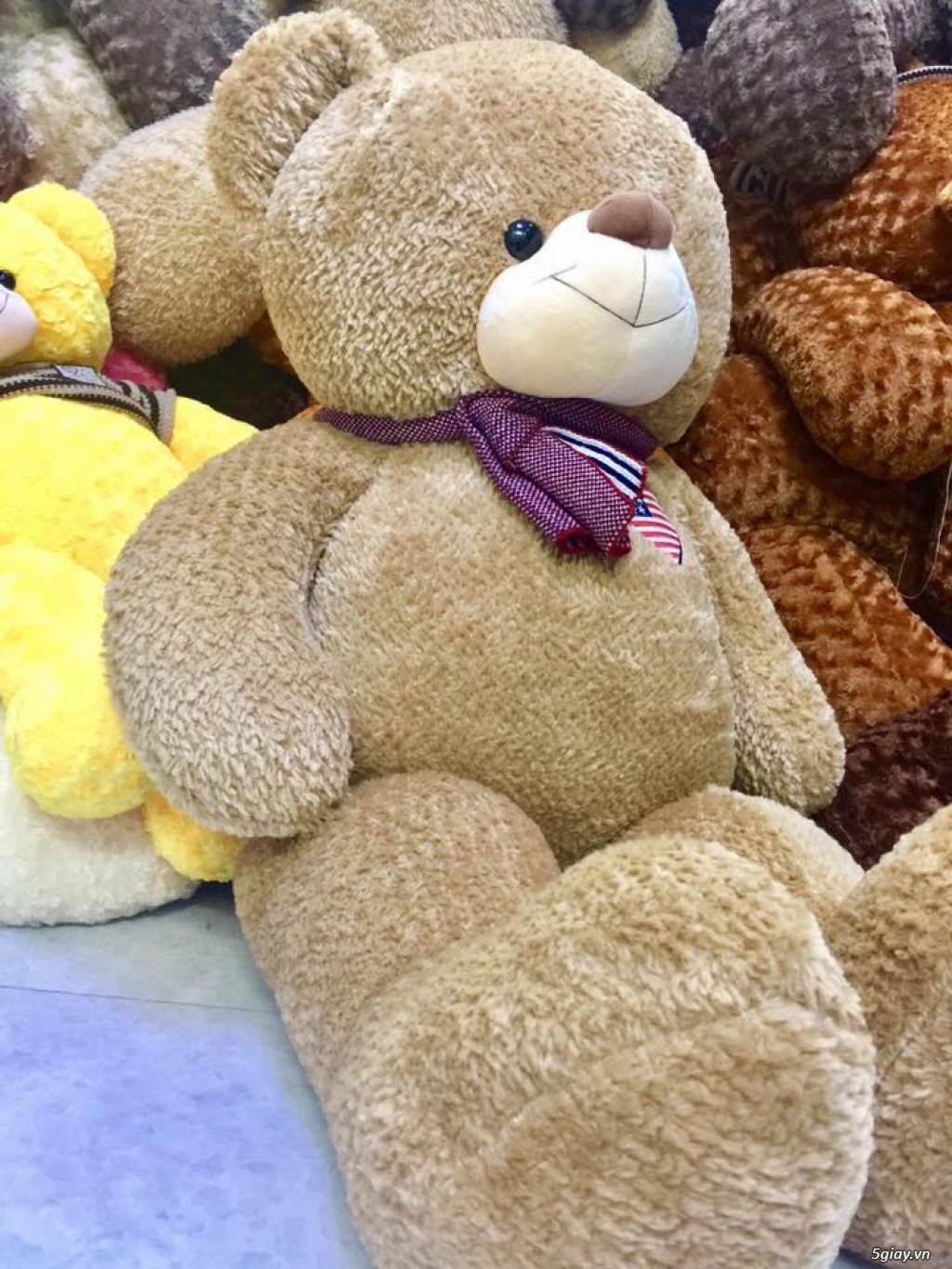 Chuyên sỉ & lẻ Gấu Bông Teddy - Brown giá rẻ nhất thị trường!! - 14