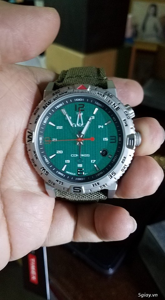 TIMEX COMPASS DÂY DA GIÁ TỐT - 1