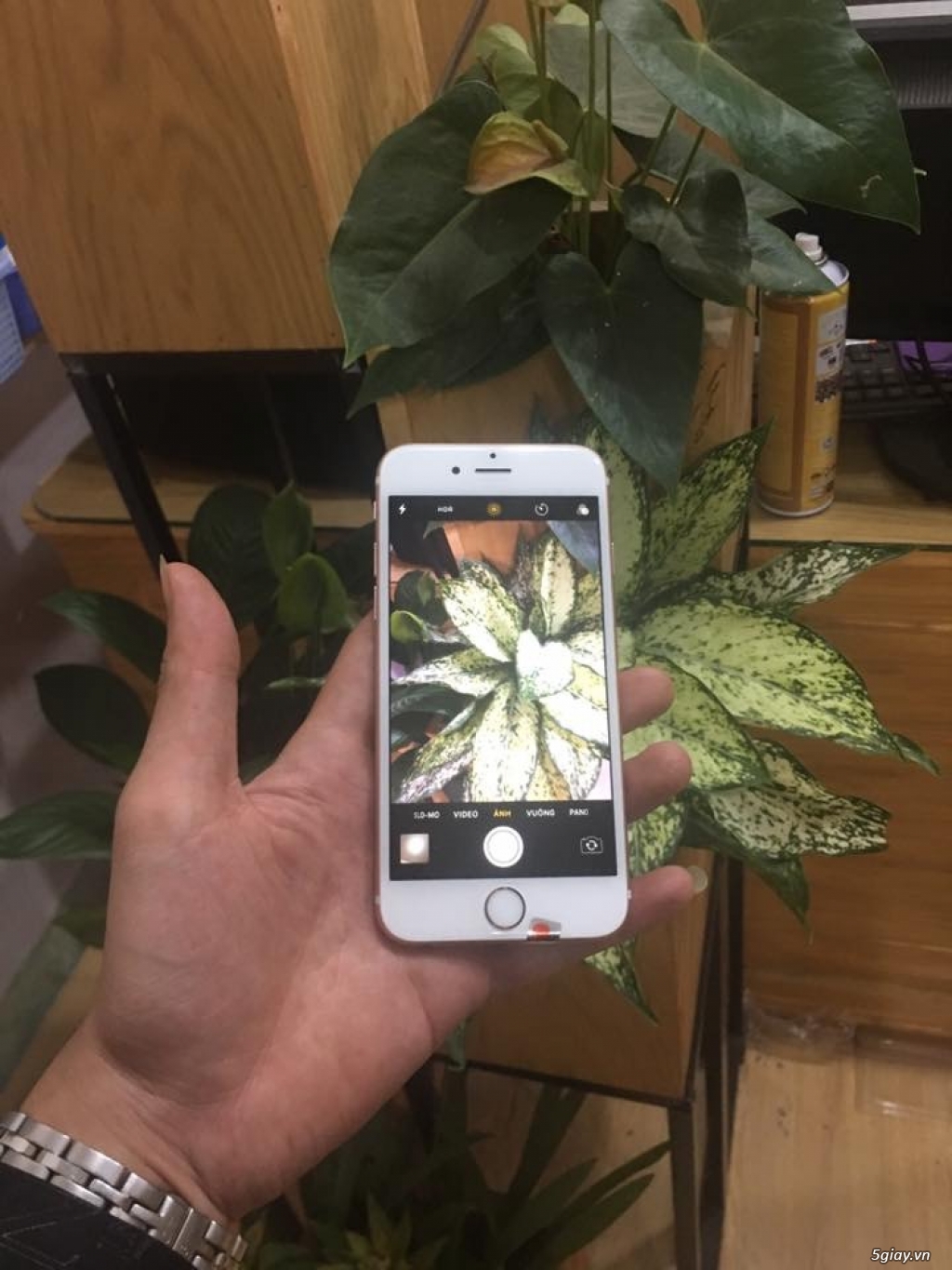 CHUYÊN IPHONE Các Dòng IP5 Đến IPhone X _ HỖ TRỢ TRẢ GÓP_ 10P Nhận Máy