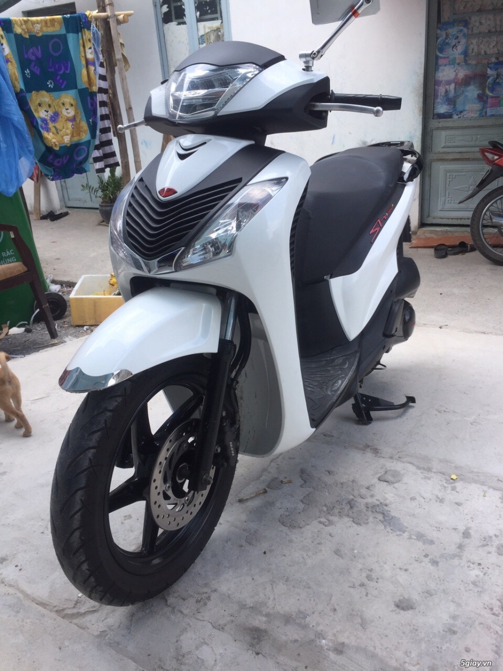 Shvn 125 2013 full ý bs cực vip - 2