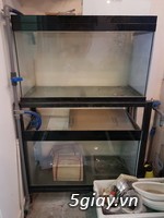 Cần bán hồ cá 80x40x50