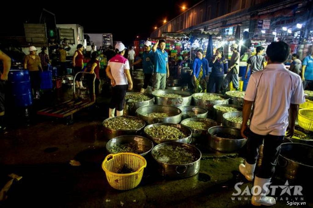 DU LỊCH CẦN GIỜ 2018 - 1