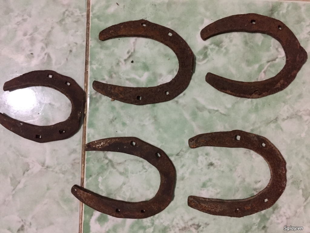 móng ngựa dùng trong phong thuỷ