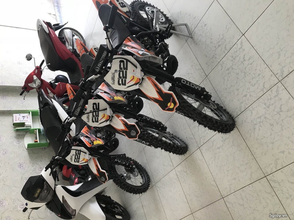 Cào cào 80cc và 125 cc - 2