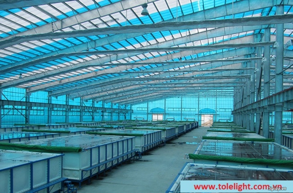 Nam Viet Plastic - Tấm lợp lấy sáng TOLELIGHT - 2