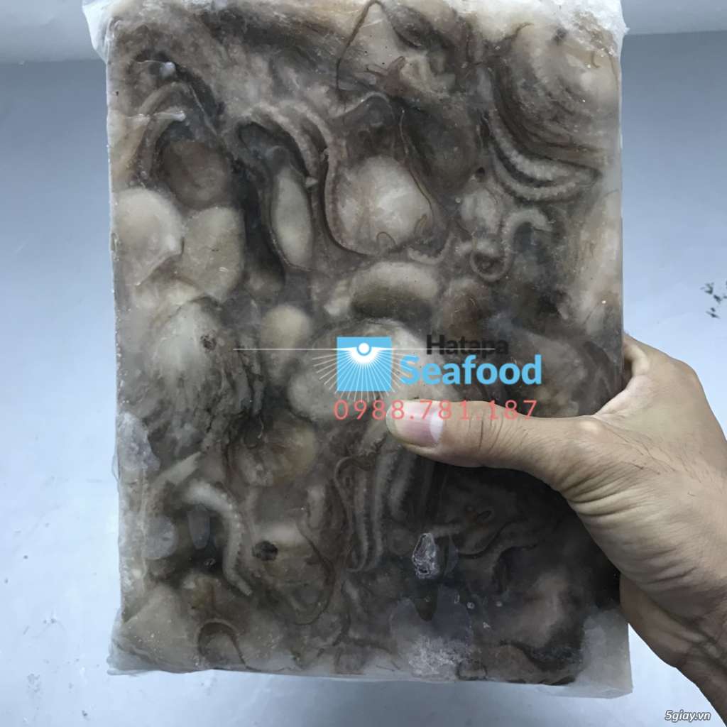 Hải sản đông lạnh giá rẻ, cung cấp đầu mực, mực nang, mực lá, mực fillet, bạch tuộc cho nhà hàng. - 13