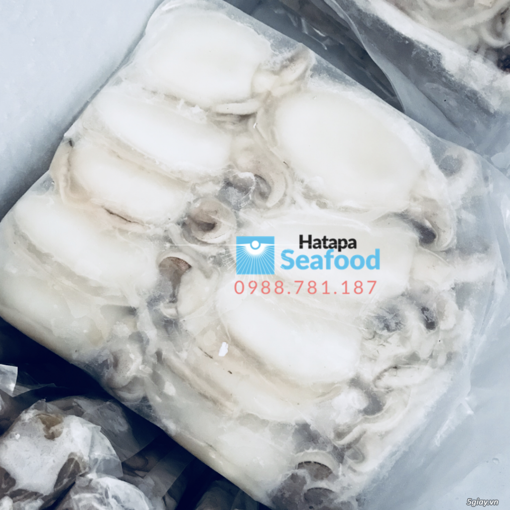 Hải sản đông lạnh giá rẻ, cung cấp đầu mực, mực nang, mực lá, mực fillet, bạch tuộc cho nhà hàng.