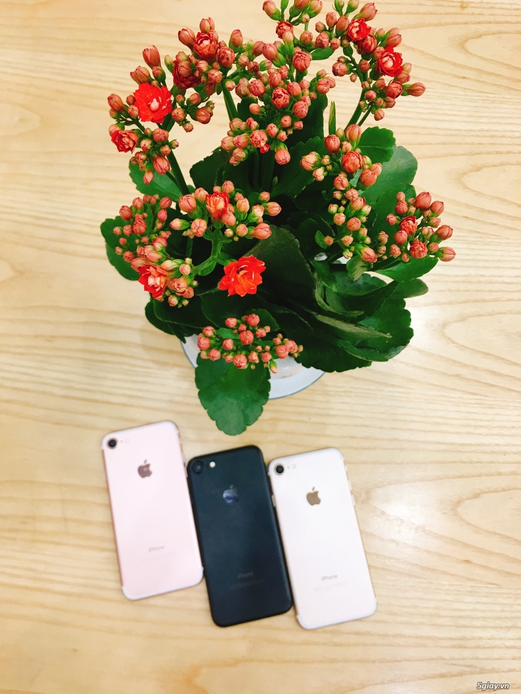 iPhone 7 - 32gb Black 99% - 1
