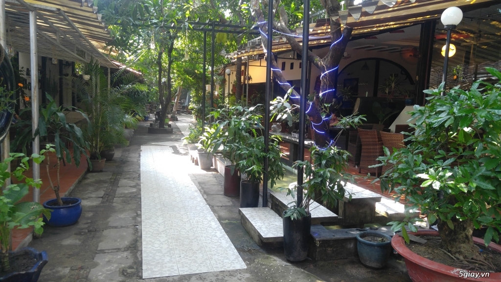 Cần Hợp tác KD or Sang quán cafe sân vườn có view tuyệt đẹp - 4