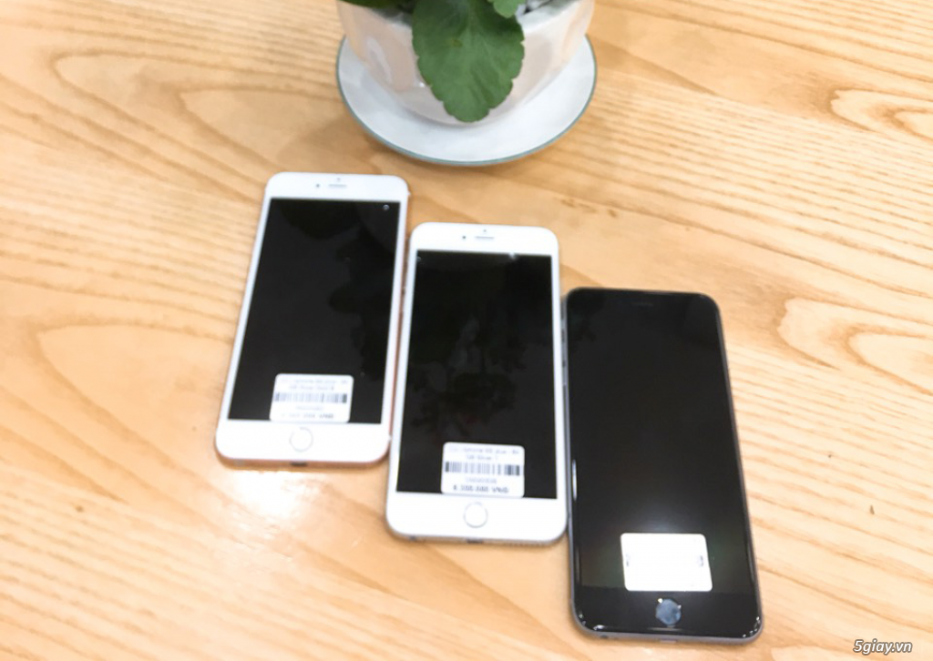 Cần bán iPhone 6S plus 64GB Like New, Full zin, quốc tế - 1