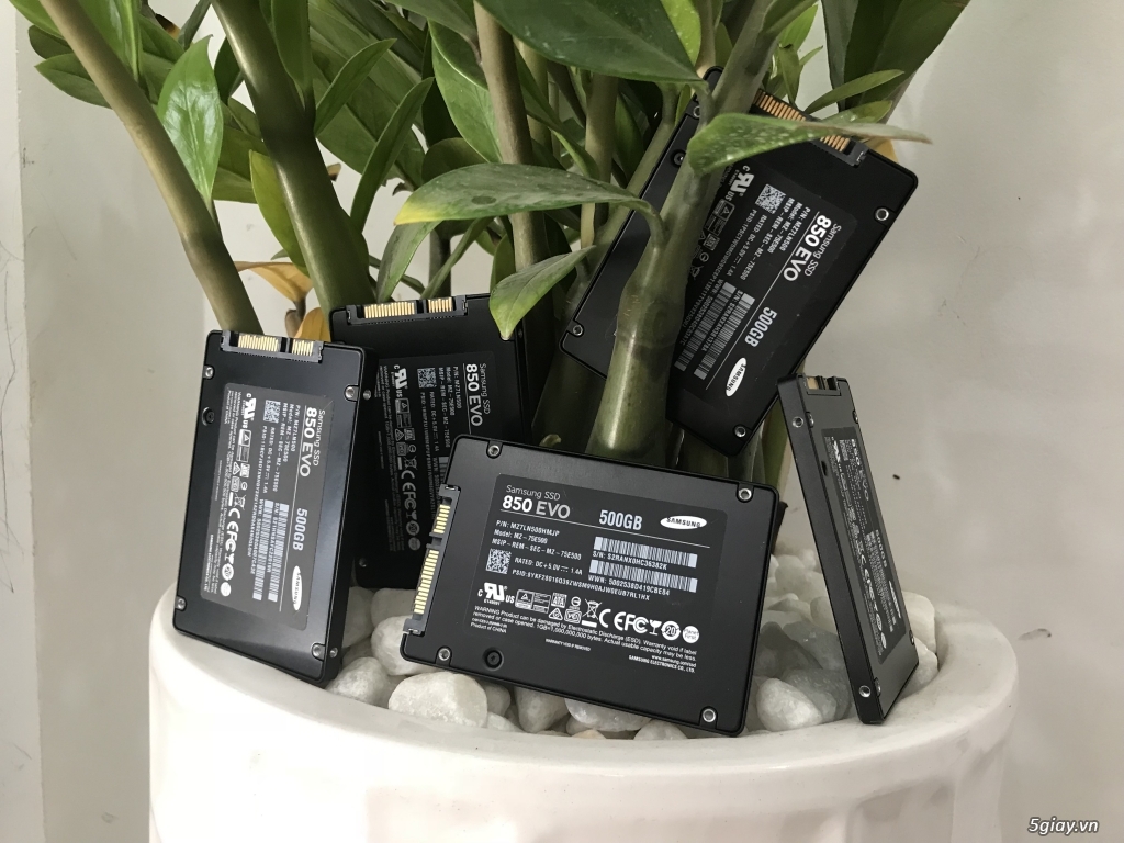 bán SSD samsung 256G, samsung 500G, MICRON 512G - 5