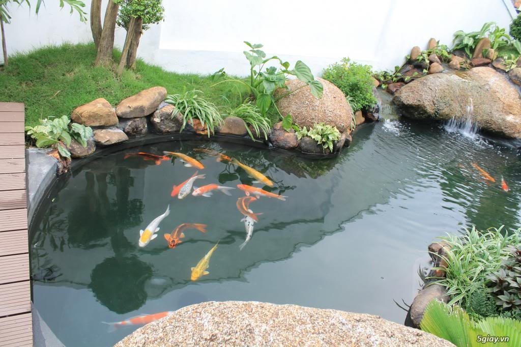 hỏi về xây hồ xi măng - 6