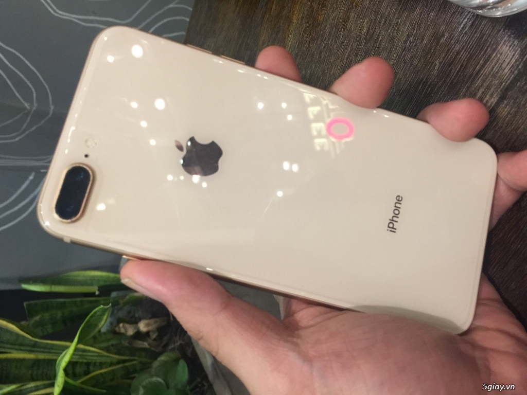 iPhone 8 Plus 64g Gold Singapore BH Apple 11/2018 - 2