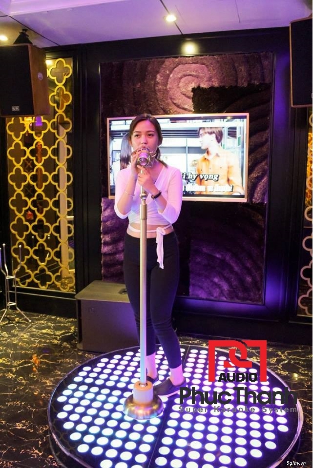 Micro đứng karaoke cao cấp Lingrui YR-W - 1