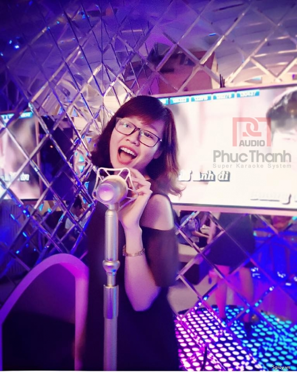 Micro đứng karaoke cao cấp Lingrui YR-W - 3