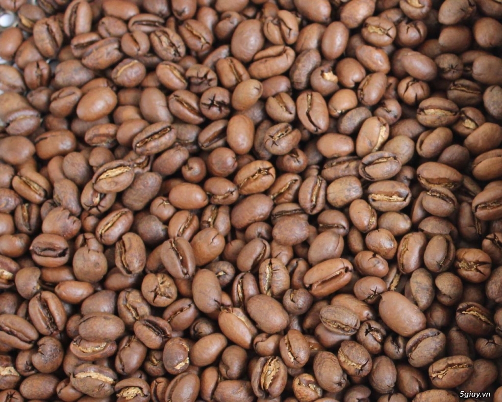 CÀ PHÊ HẠT 100% nguồn từ Dak - Lak - 3