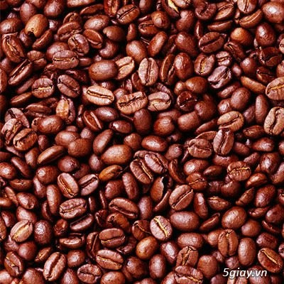 CÀ PHÊ HẠT 100% nguồn từ Dak - Lak - 2