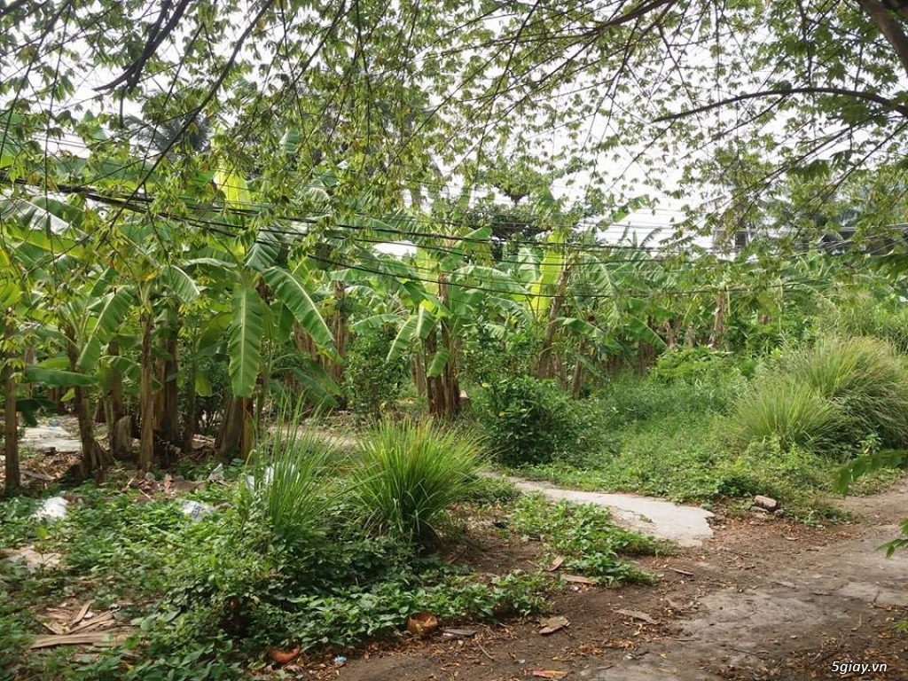 Mỹ Tho -  Cho thuê đất