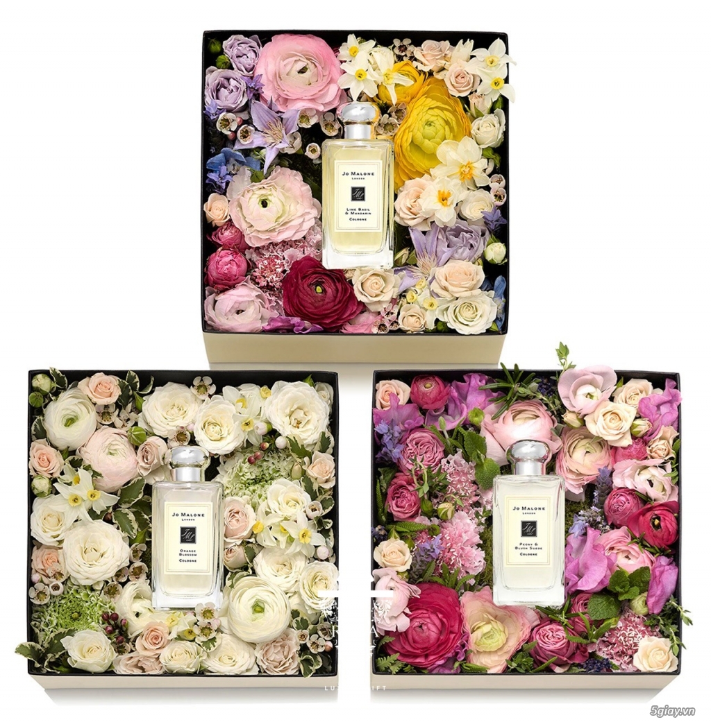 VIROSA | Sản phẩm Quà tặng hộp hoa trang trí cao cấp | 5giay