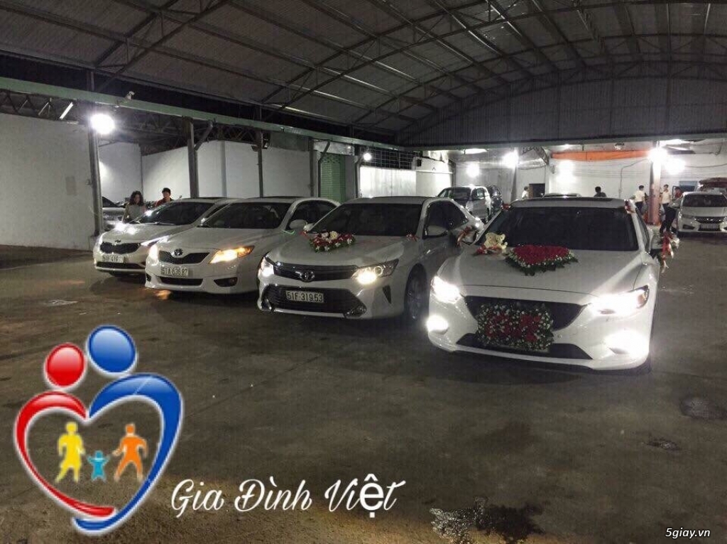 Cho Thuê Xe Tự Lái - Xe Du Lịch 4C Đến 45C Giá Rẻ Tại TP.HCM - 2