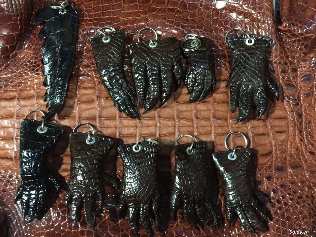 móc khoá cá sấu - 2