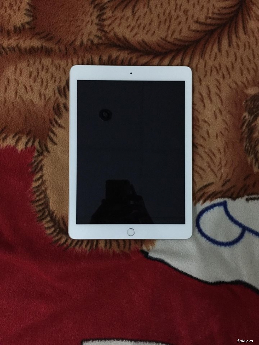 Phá giá Tablet Apple Ipad Gen 5 2017 wifi 100% - 4