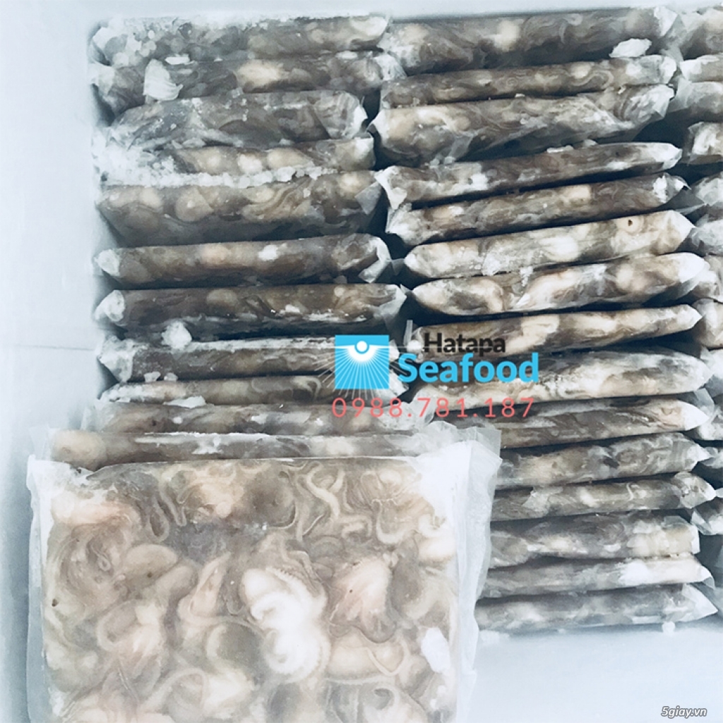 Bạch tuộc đông lạnh giá tận gốc, hải sản bạch tuộc chất lượng giá rẻ - 10