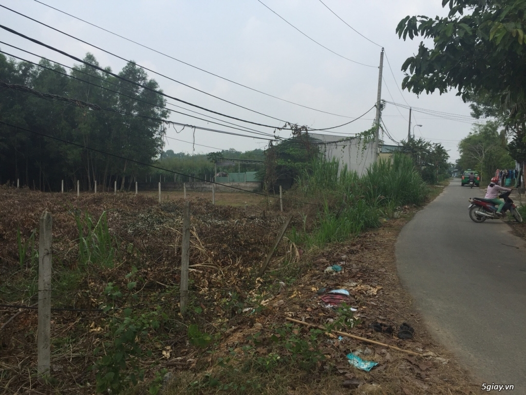 Đất mặt tiền đường 618 củ chi,197m2 chỉ 649 triệu - 3