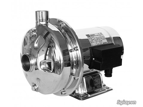 Máy bơm Ebara toàn tân Inox CD 70/05, 90/10, 70/12, CDM 120/20
