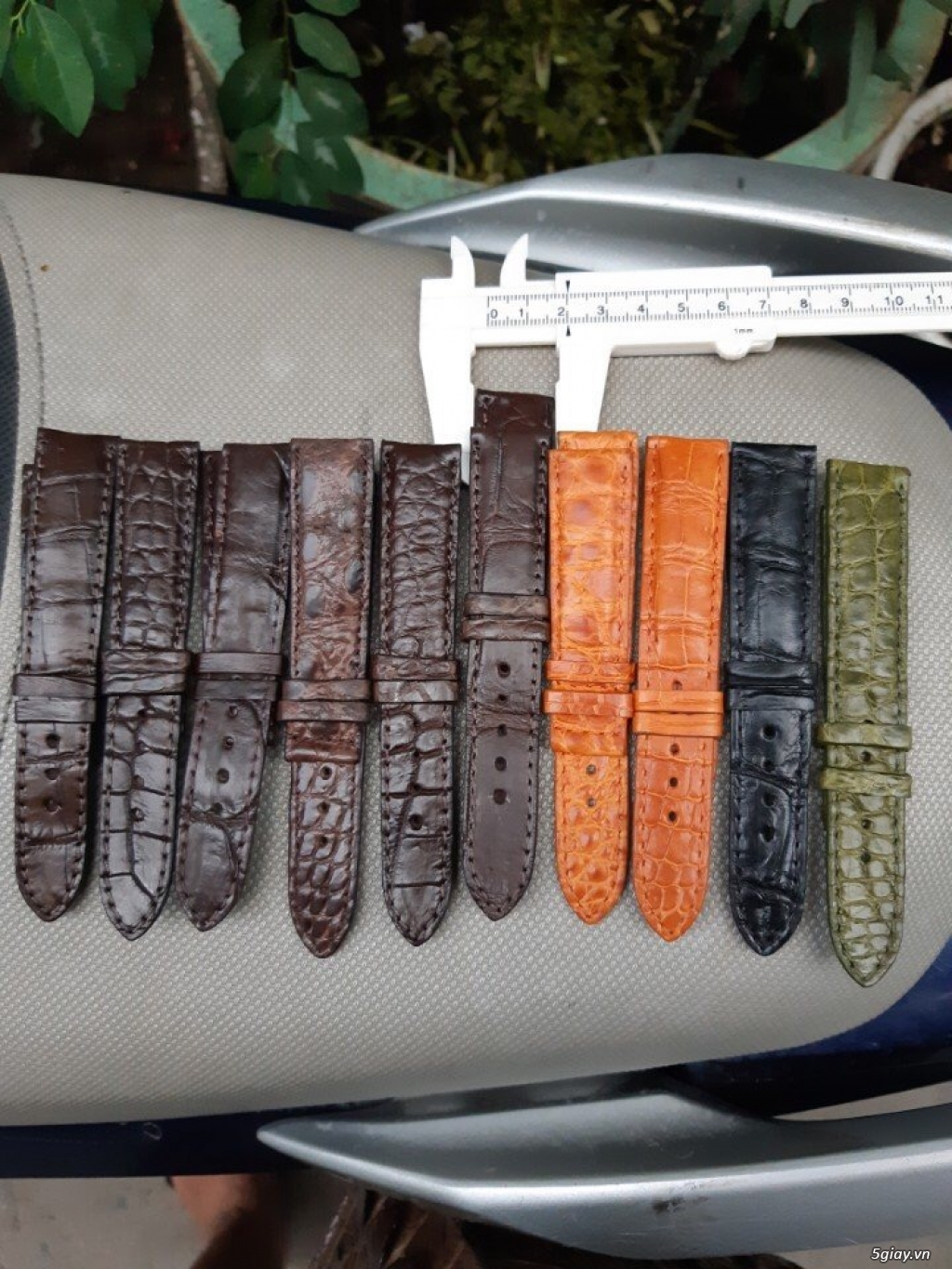 Dây đồng hồ da cá sấu - 4