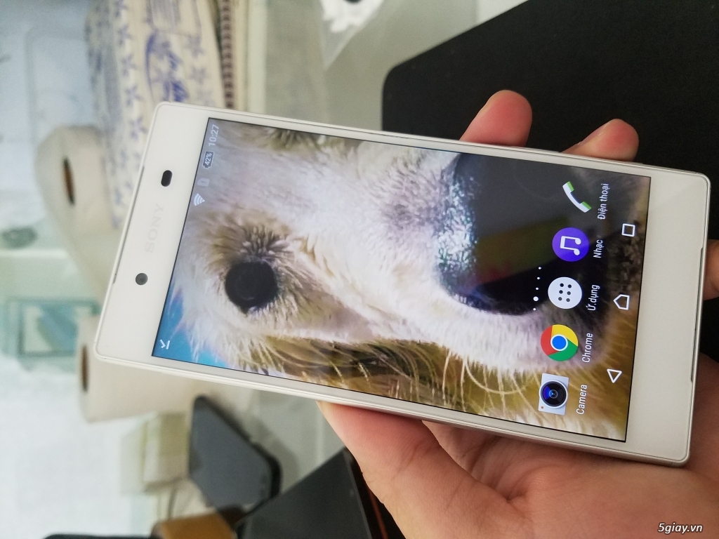 Sony Xperia Z5
