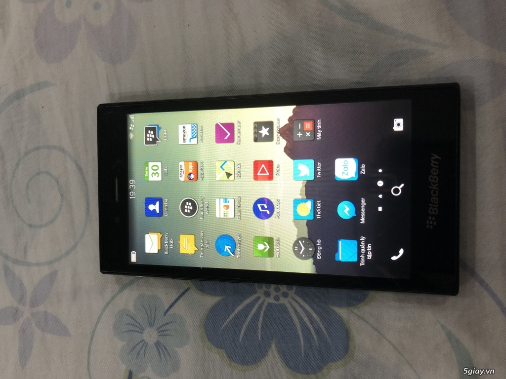 Cặp đôi blackberry bệnh nhẹ - 2