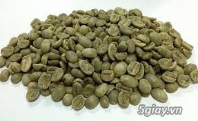Cung cấp cà phê sạch- PASARO COFFEE
