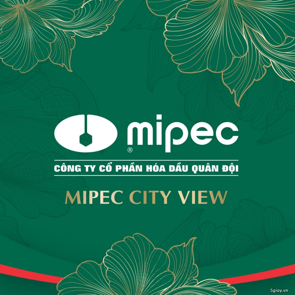 Chỉ từ 250 triệu đã có thể sở hữu căn hộ ở Mipec Hà Đông - 3