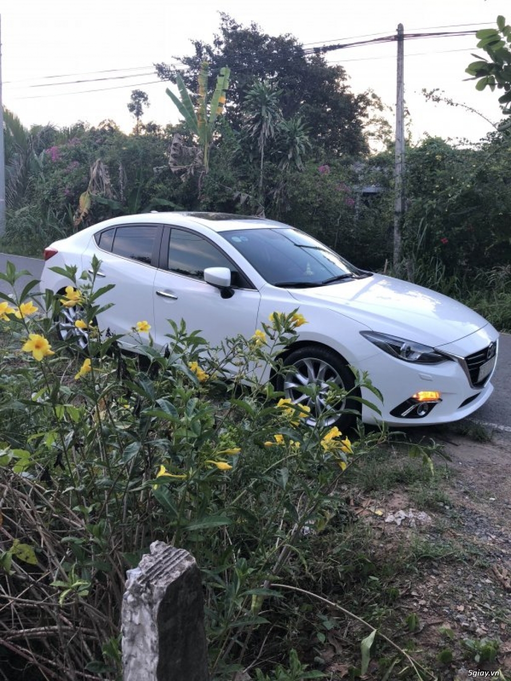 Tiền Giang - Bến Tre Cho Thuê Ô Tô  Tự Lái : SEDONA 2018 -CAMRY 2.5Q - 2