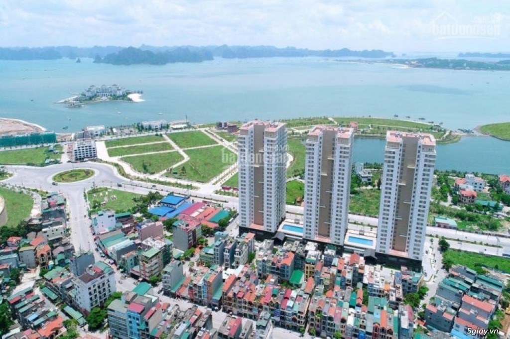 Đầu tư New Life Tower Hạ Long, lợi nhuận bền vững cùng Hải Phát Land - 1