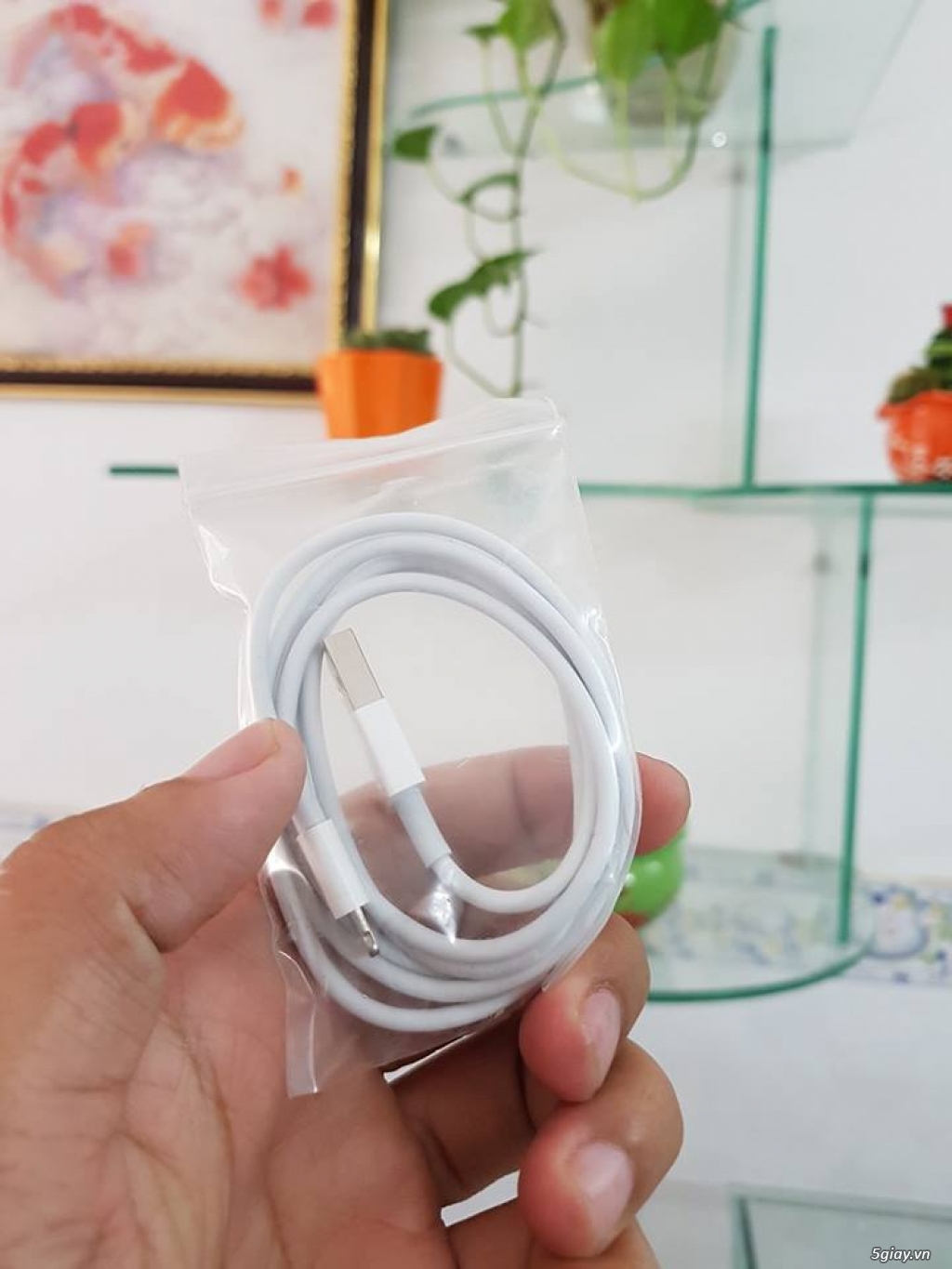 SẠC CÁP TAI NGHE ĐÚNG ZIN IPHONE LG SAMSUNG - 9