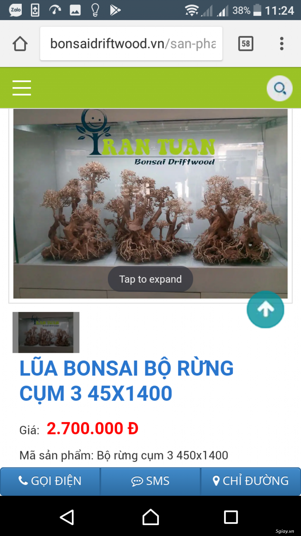 Cần bán lũa Bonsai - 9