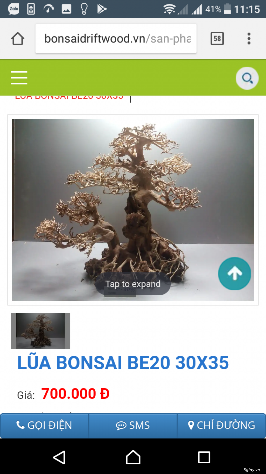 Cần bán lũa Bonsai - 15