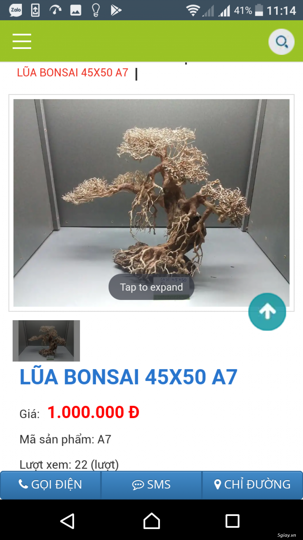 Cần bán lũa Bonsai - 18